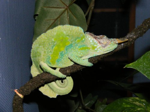 DSCF2090.jpg
