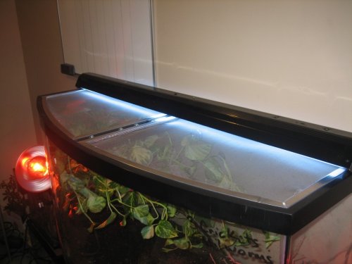 IMG_4744 (1024 x 768).jpg