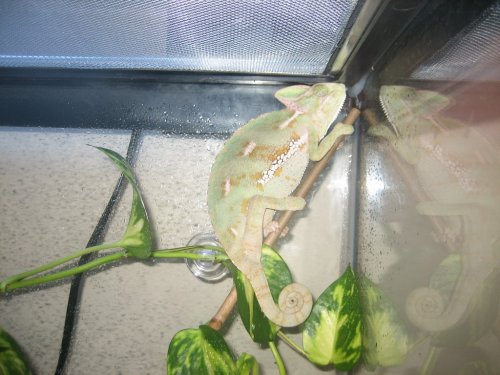 IMG_4747 (1024 x 768).jpg