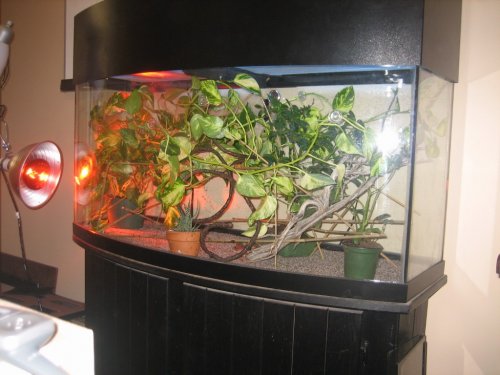 IMG_4746 (1024 x 768).jpg