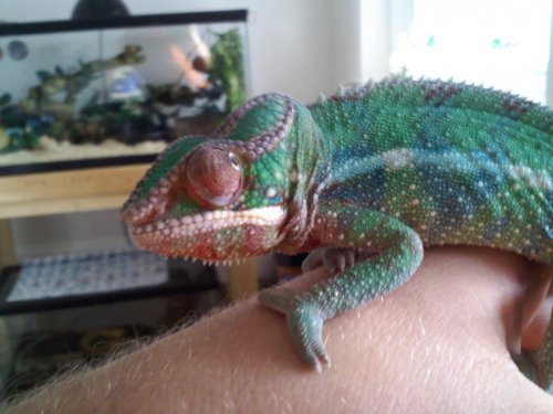 Sonny 6 months 1.jpg