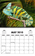 calendar10_sample1.jpg calendar10_sample1.jpg