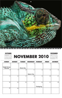 calendar10_sample2.jpg calendar10_sample2.jpg