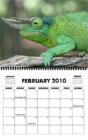 calendar10_sample3.jpg calendar10_sample3.jpg