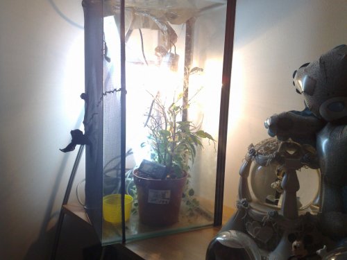 28102009215.jpg