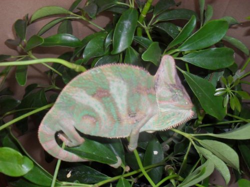 sssssssssssssssssssssss 005.JPG