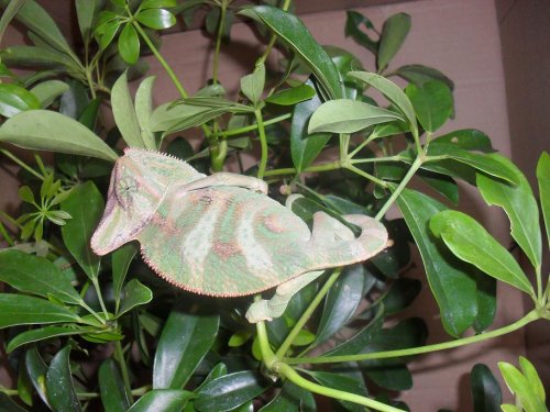 sssssssssssssssssssssss 006.JPG