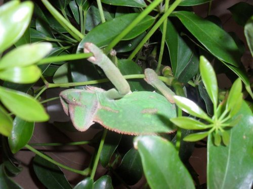 sssssssssssssssssssssss 007.JPG