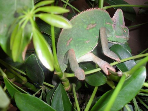 sssssssssssssssssssssss 011.JPG