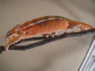 DSC00127_1.JPG