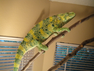 DSC00122_1.JPG