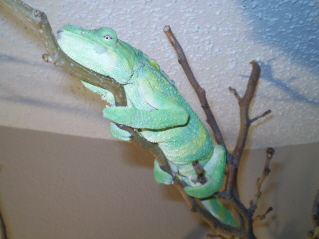 P1010029.JPG