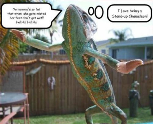 Luie lol.jpg