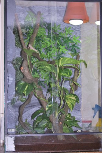 DSC_0029.jpg