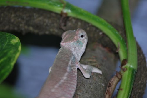 DSC_0013.jpg