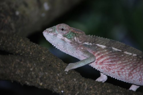 DSC_0018.jpg