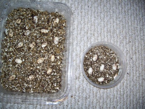 smaller 2.jpg