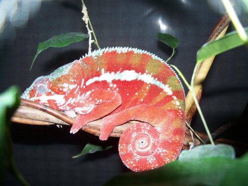 2009 025.jpg