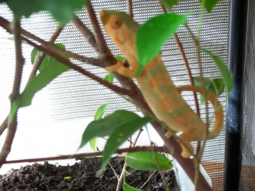 100_0742.jpg