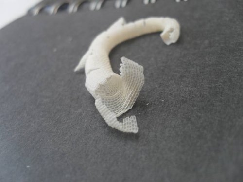 Tail Shed 2.jpg