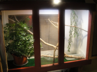 Lola's Crib.JPG