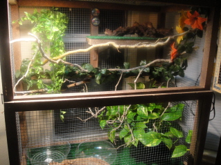 Rocko's Crib.JPG