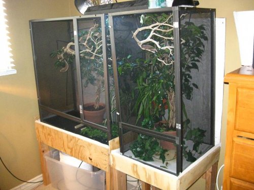 setup3.jpg setup3.jpg