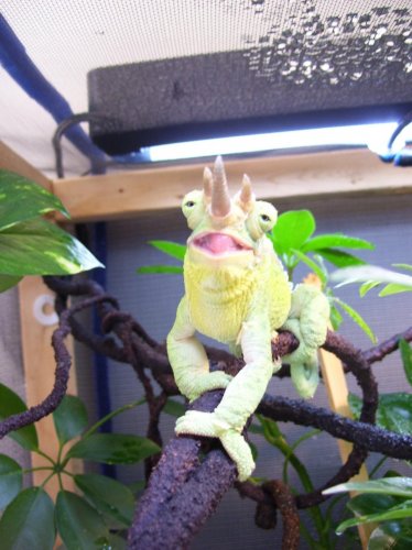 100_1739.jpg