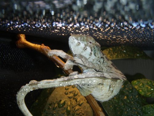 Picture 164.jpg