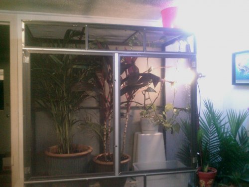 new cage.jpg
