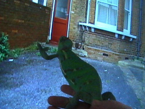 Helllooo is anyone home.JPG