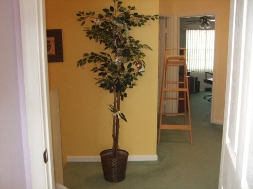 new pioctures for facebook 017.jpg