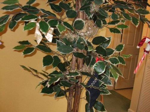 new pioctures for facebook 015.jpg