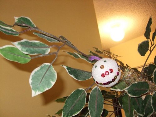 new pioctures for facebook 016.jpg