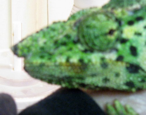 112909 Weigh In 002.jpg