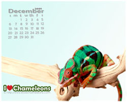 December 2009 1280 x 1024.jpg