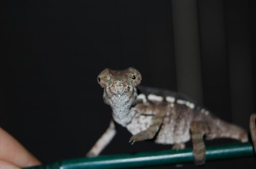 DSC_1497.jpg