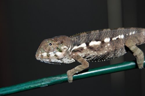 DSC_1491.jpg