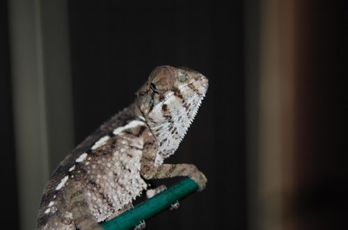DSC_1476.jpg