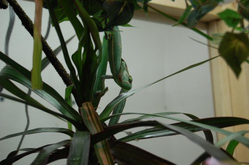 DSC_0715.jpg