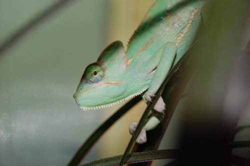 DSC_0719.jpg