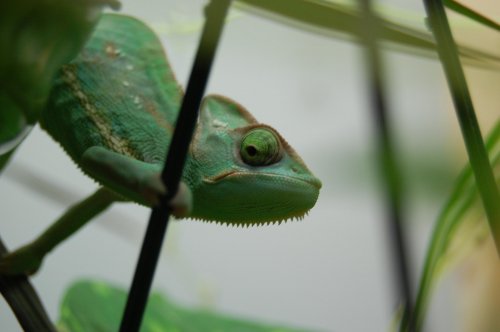 DSC_0722.jpg