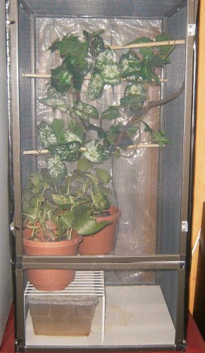small cage for sale 003.jpg