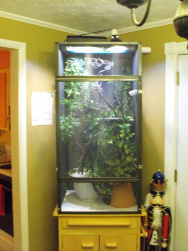 new cage 002.jpg