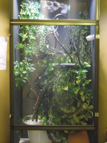 new cage 001.jpg