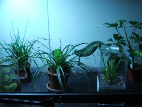 picking the furniture.jpg