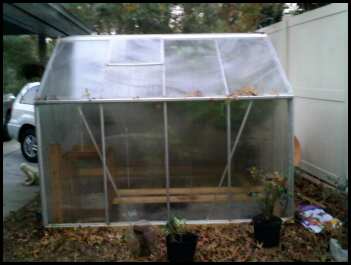 Tika's Greenhouse.jpg