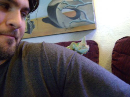 peekaboo.jpg
