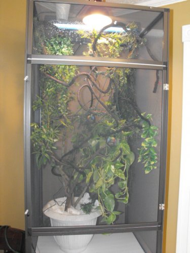 yogg on moms hand 009.jpg