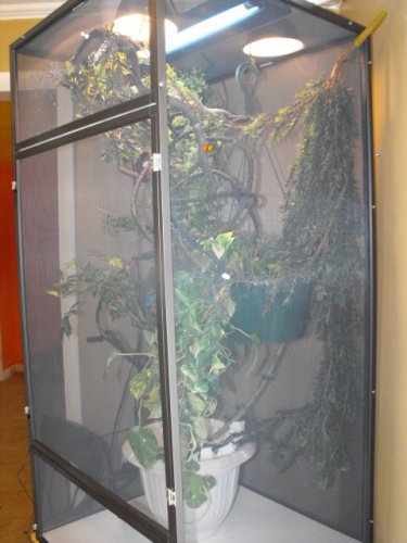 yogg on moms hand 008.jpg